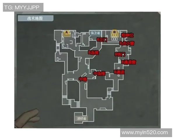 专业解析LNG战队的防守策略与战术布局探讨